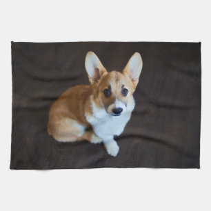 Cutest Baby djur Corgi Tittar upp Kökshandduk