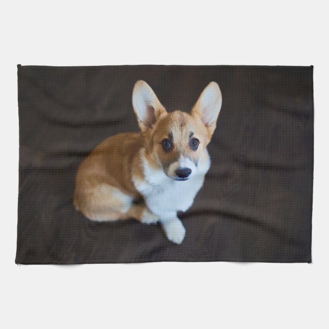 Cutest Baby djur | Corgi Tittar upp Kökshandduk (Horisontell)