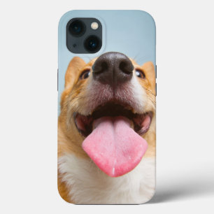 Cutest Baby djur   Corgi Tunga