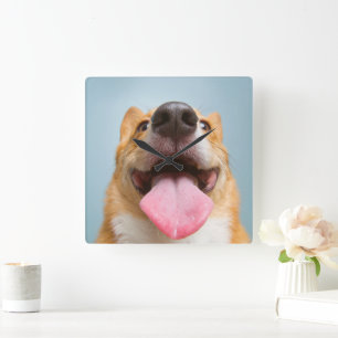 Cutest Baby djur Corgi Tunga Fyrkantig Klocka