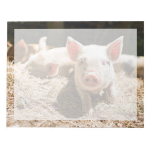 Cutest Baby djur Cute Baby Piglet Anteckningsblock