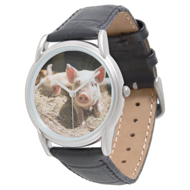 Cutest Baby djur | Cute Baby Piglet Armbandsur (Vinklad)