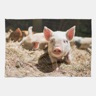 Cutest Baby djur Cute Baby Piglet Kökshandduk