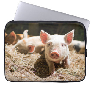 Cutest Baby djur Cute Baby Piglet Laptop Fodral