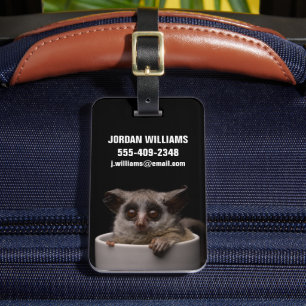 Cutest Baby djur Cute Bushbaby Bagagebricka