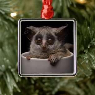 Cutest Baby djur Cute Bushbaby Julgransprydnad Metall