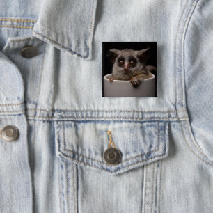 Cutest Baby djur Cute Bushbaby Knapp