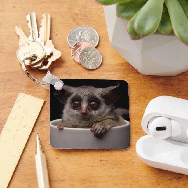 Cutest Baby djur | Cute Bushbaby Nyckelring (Skrivbord)