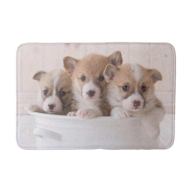 Cutest Baby djur | Cute Corgi Puppies i en hamn Badrumsmatta (Framsidan)