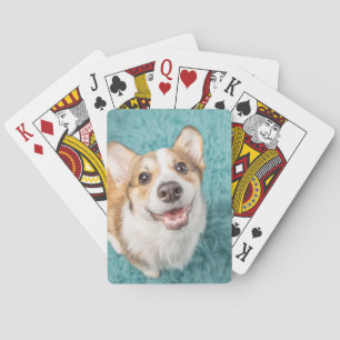 Cutest Baby djur   Cute Corgi Puppy Smile Casinokort