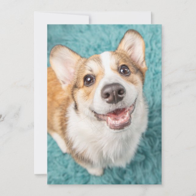 Cutest Baby djur | Cute Corgi Puppy Smile Tack Kort (Framsida)