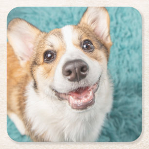 Cutest Baby djur Cute Corgi Puppy Smile Underlägg Papper Kvadrat