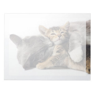 Cutest Baby djur Cute Kitten Hug Anteckningsblock