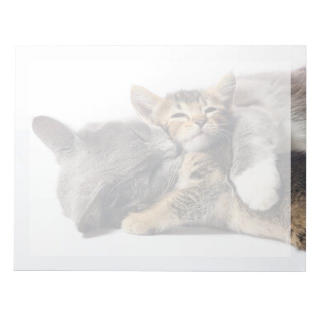 Cutest Baby djur | Cute Kitten Hug Anteckningsblock (Framsida)