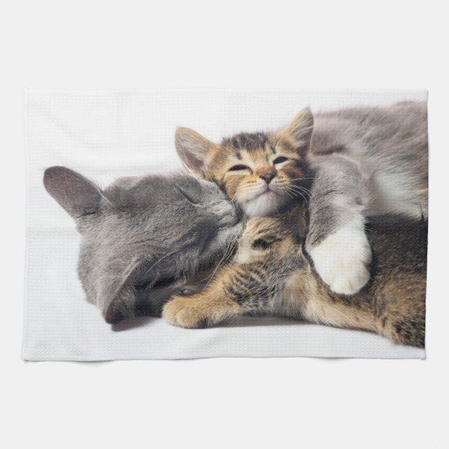 Cutest Baby djur | Cute Kitten Hug Kökshandduk (Horisontell)