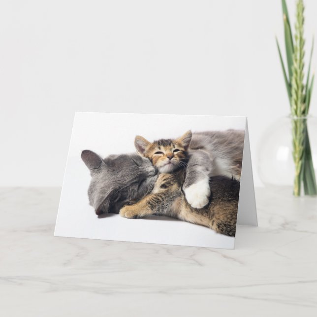 Cutest Baby djur | Cute Kitten Hug Kort (Framsida)