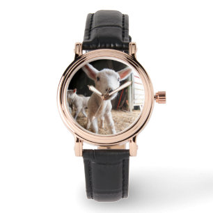 Cutest Baby djur Cute Lamb i en anläggning Armbandsur