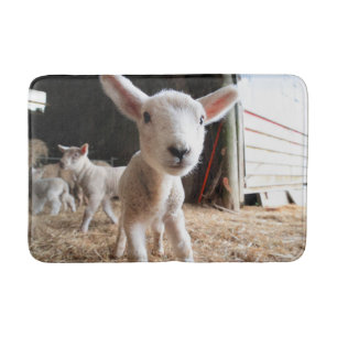 Cutest Baby djur Cute Lamb i en anläggning Badrumsmatta
