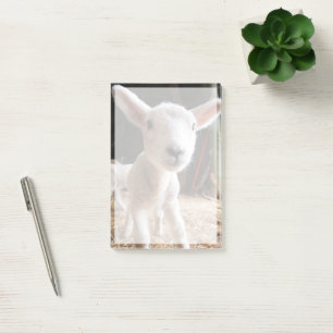 Cutest Baby djur Cute Lamb i en anläggning Post-it Block