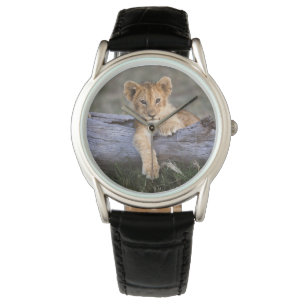 Cutest Baby djur   Cute Lejonare Unge Armbandsur