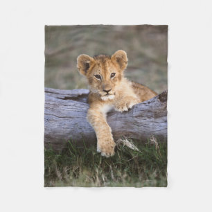 Cutest Baby djur Cute Lejonare Unge Fleecefilt