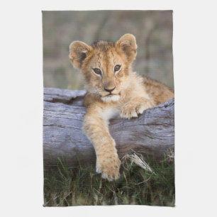 Cutest Baby djur Cute Lejonare Unge Kökshandduk