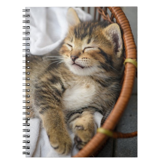 Cutest Baby djur | Cute Tabby katt Sleeping Anteckningsbok (Framsidan)