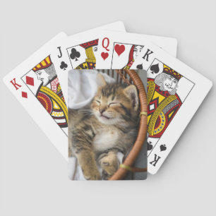 Cutest Baby djur Cute Tabby katt Sleeping Casinokort