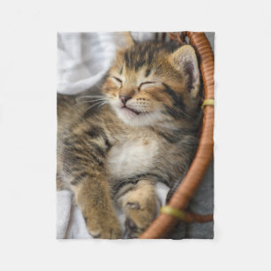 Cutest Baby djur   Cute Tabby katt Sleeping Fleecefilt