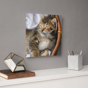 Cutest Baby djur Cute Tabby katt Sleeping Fyrkantig Klocka