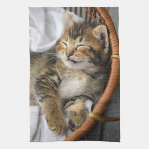 Cutest Baby djur Cute Tabby katt Sleeping Kökshandduk