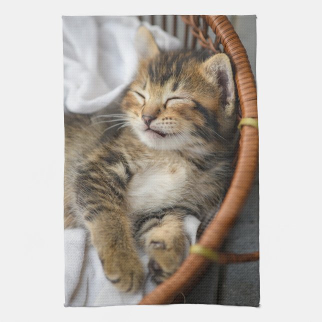 Cutest Baby djur | Cute Tabby katt Sleeping Kökshandduk (Vertikal)
