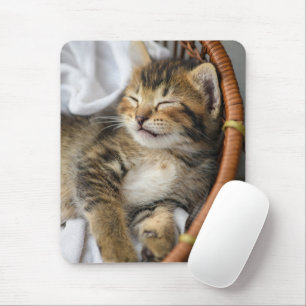 Cutest Baby djur Cute Tabby katt Sleeping Musmatta
