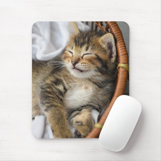 Cutest Baby djur | Cute Tabby katt Sleeping Musmatta (Med mus)