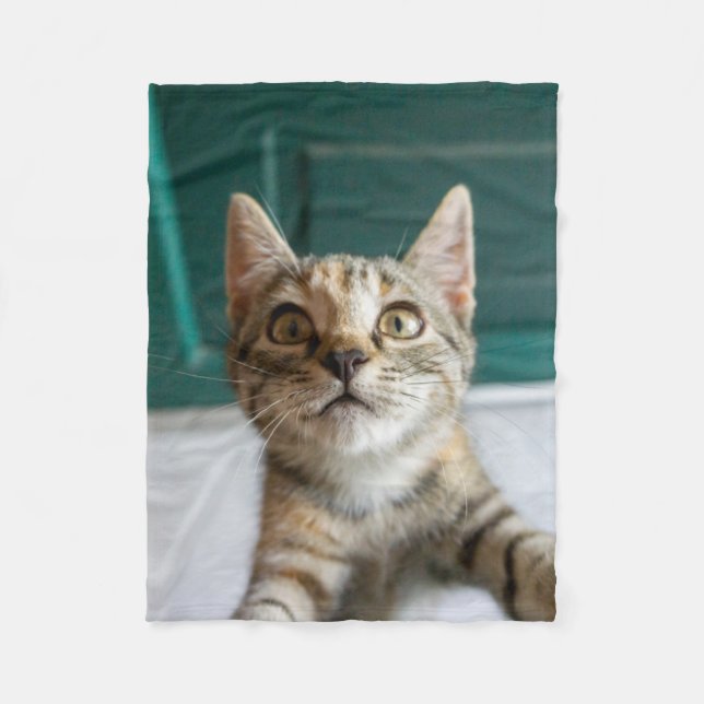 Cutest Baby djur | Cute Tabby Kitten Fleecefilt (Framsidan)