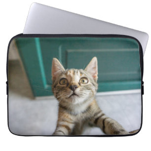 Cutest Baby djur Cute Tabby Kitten Laptop Fodral