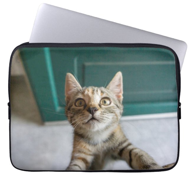 Cutest Baby djur | Cute Tabby Kitten Laptop Fodral (Framsidan)