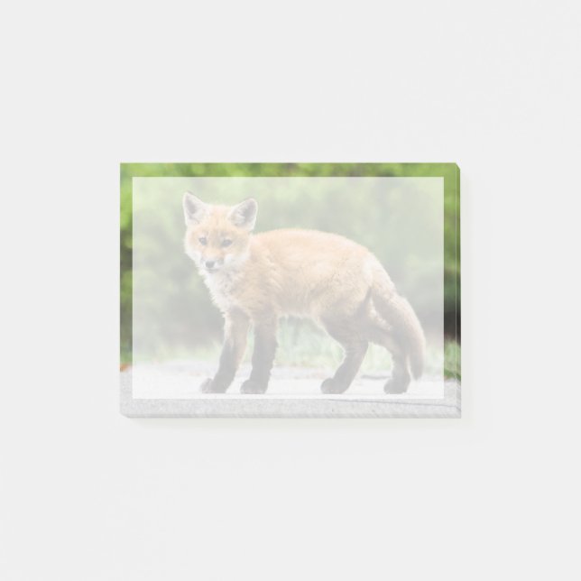 Cutest Baby djur | Cutey Fox Post-it Block (Framsida)