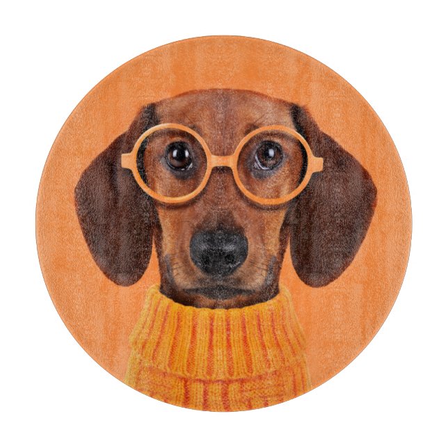 Cutest Baby djur | Dachshund Orange Sweater (Framsidan)