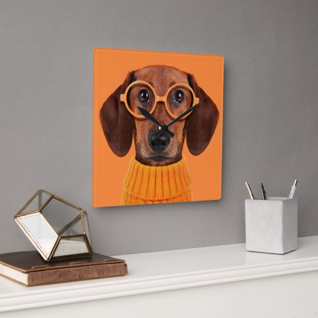 Cutest Baby djur | Dachshund Orange Sweater Fyrkantig Klocka (Kontor)