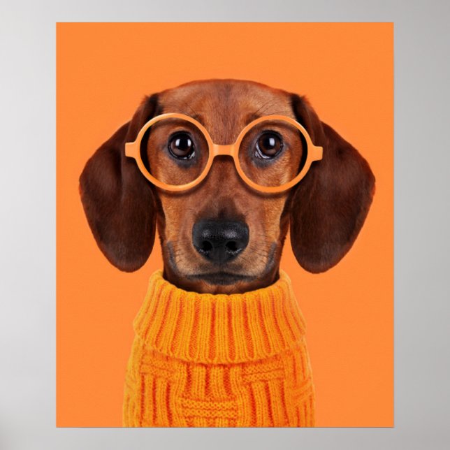 Cutest Baby djur | Dachshund Orange Sweater Poster (Framsidan)