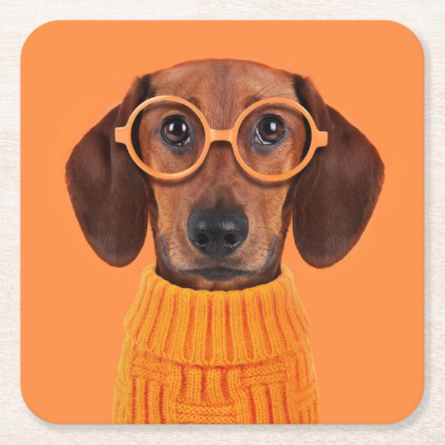 Cutest Baby djur | Dachshund Orange Sweater Underlägg Papper Kvadrat (Framsidan)