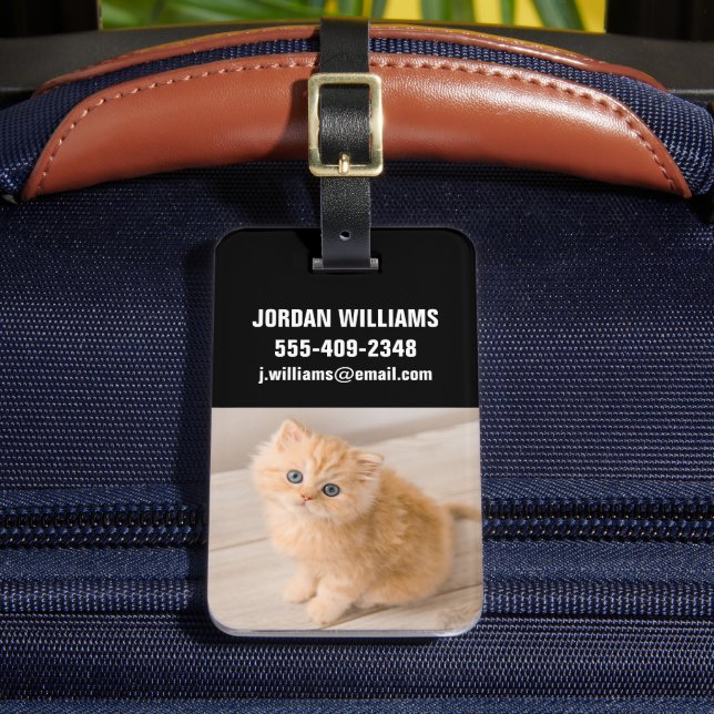 Cutest Baby djur | Det brittiska Långhåriget Kitte Bagagebricka (Framsida Insitu 2)