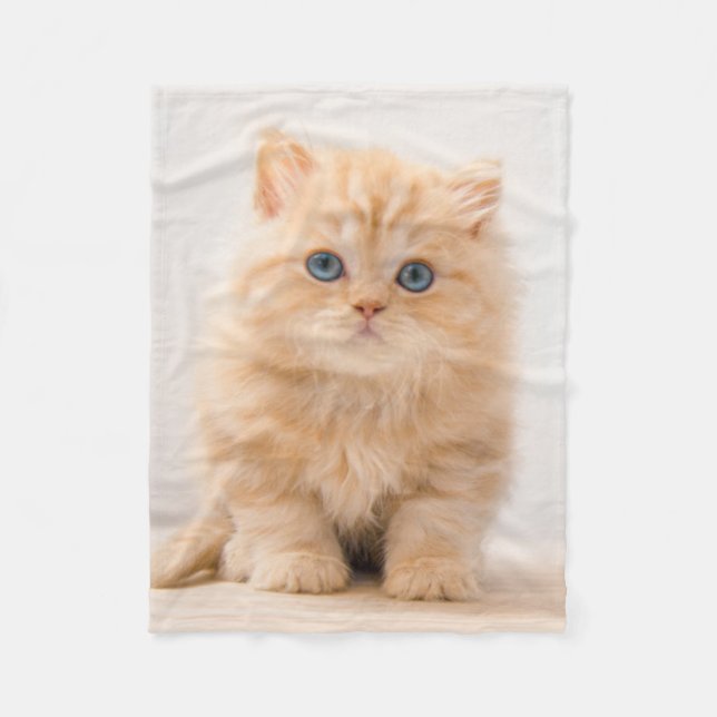 Cutest Baby djur | Det brittiska Långhåriget Kitte Fleecefilt (Framsidan)
