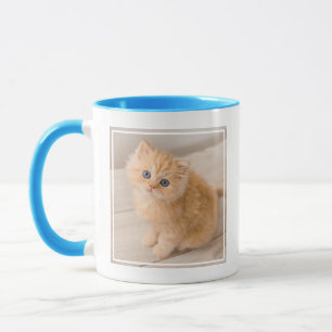 Cutest Baby djur Det brittiska Långhåriget Kitte Mugg