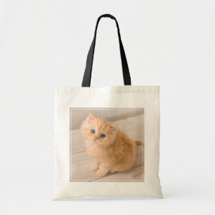 Cutest Baby djur   Det brittiska Långhåriget Kitte Tygkasse