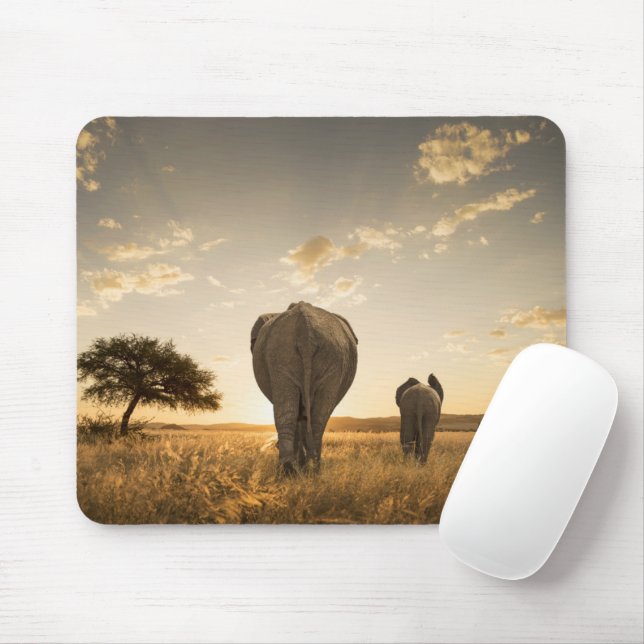 Cutest Baby djur | Elephant Calf & Mor Musmatta (Med mus)