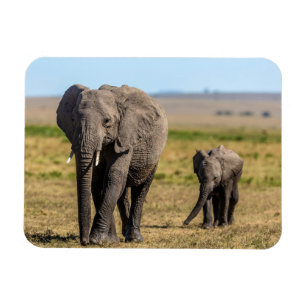 Cutest Baby djur Elephant Mor & Baby Magnet