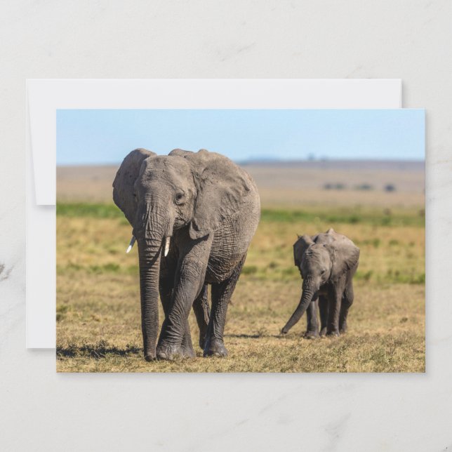 Cutest Baby djur | Elephant Mor & Baby Tack Kort (Framsida)