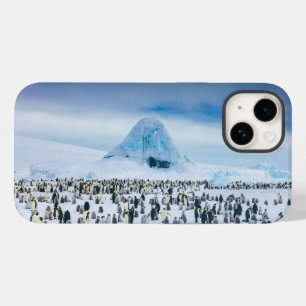 Cutest Baby djur Emperor Penguin Colony